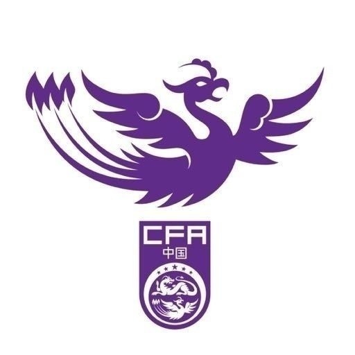  津媒：U17女足明日起兩戰(zhàn)日本定位整體實力，默契度有提升空間